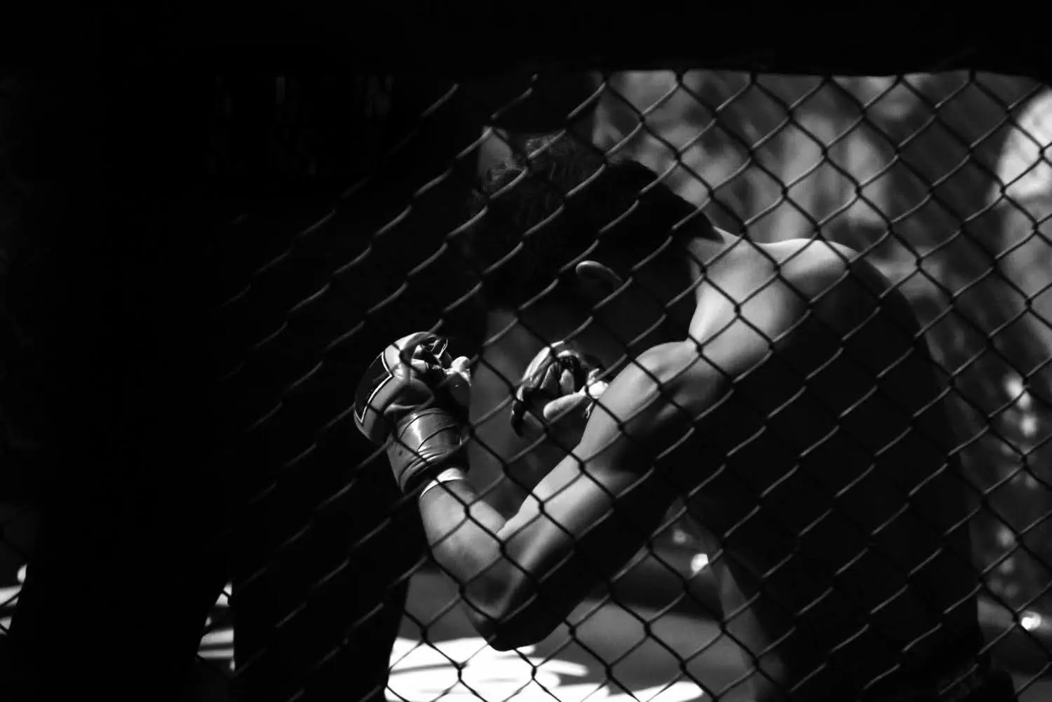 How Sportsbooks Are Pricing the UFC Summer 2026 Title Fights and McGregor's Return